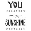 kaart-you-are-my-sunshine-greetz-ansichtkaart-postkaart